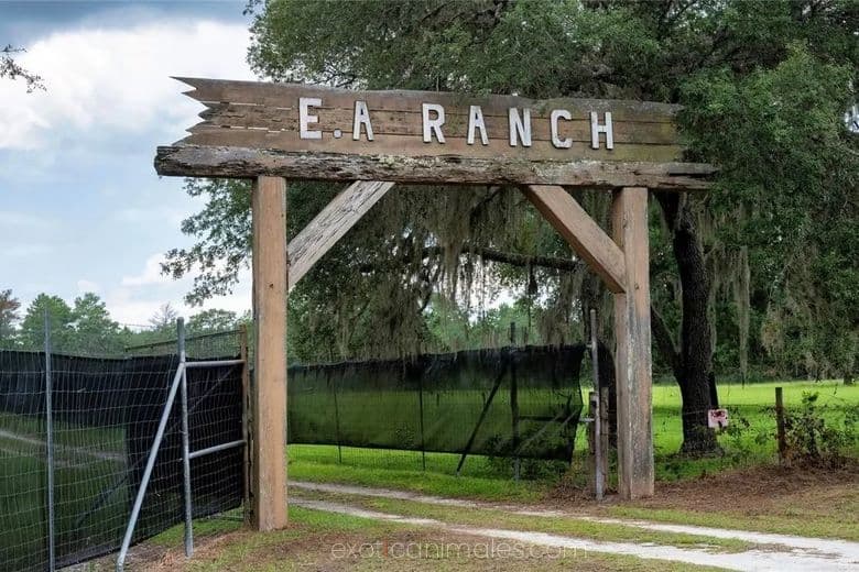 Exotic Animals Ranch